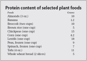 חלבון במזונות מן הצומח